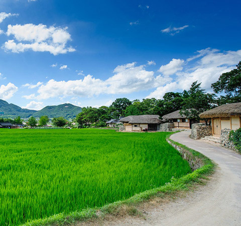 문화재 (아산외암마을)